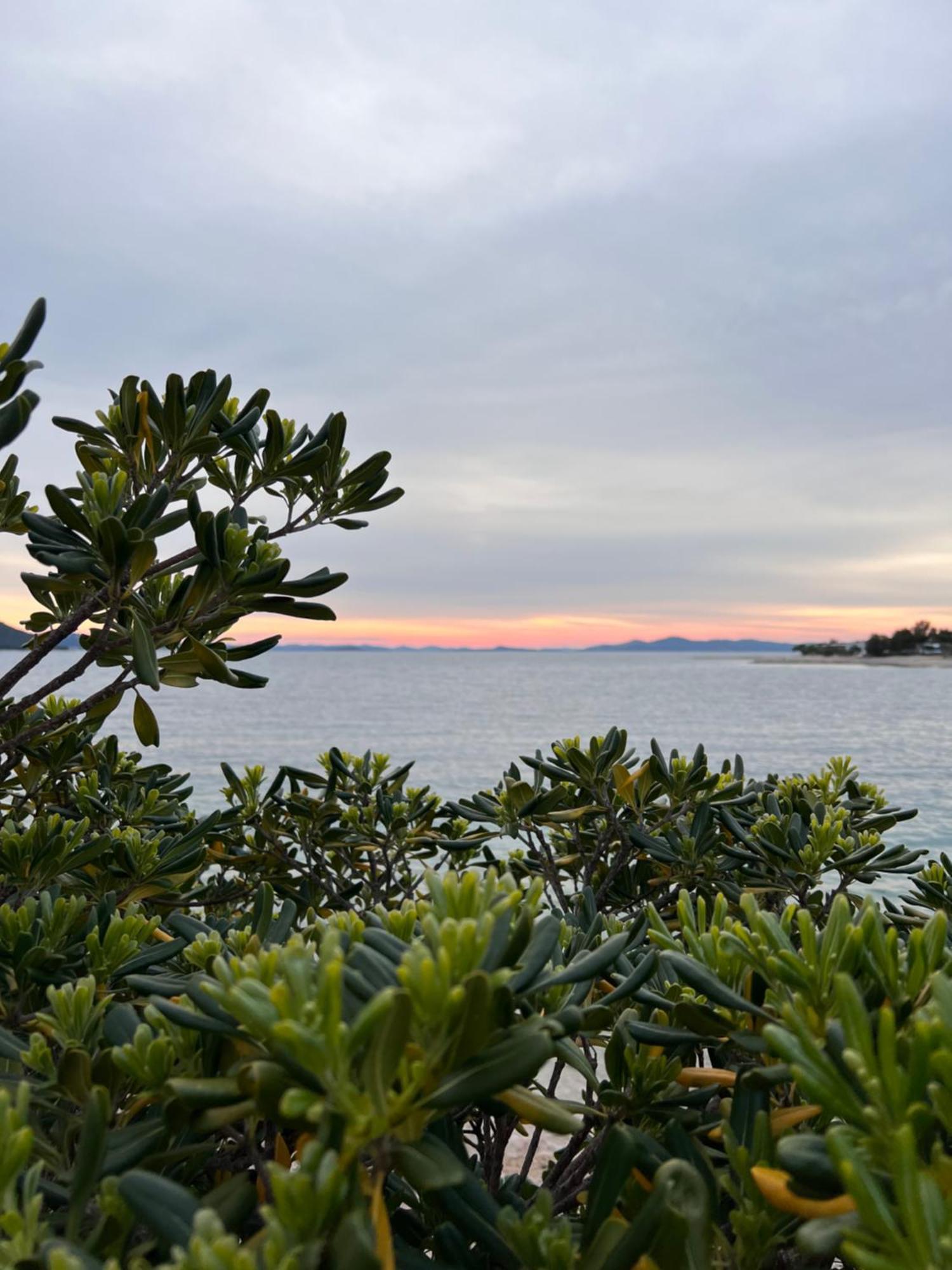 Green Turtle - Lovely, Brand New Holiday Home Near The Sea Drage Exterior foto